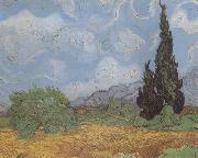 Vincent Van Gogh Wheat Field with Cypresses (nn04) USA oil painting reproduction